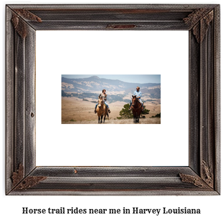 horse trail rides near me in Harvey, Louisiana